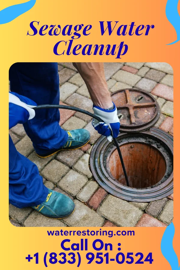 Sewage Water Cleanup in Rolling Hills, KY