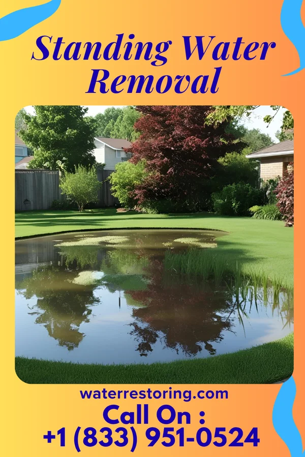 Standing Water Removal in Rolling Hills, KY